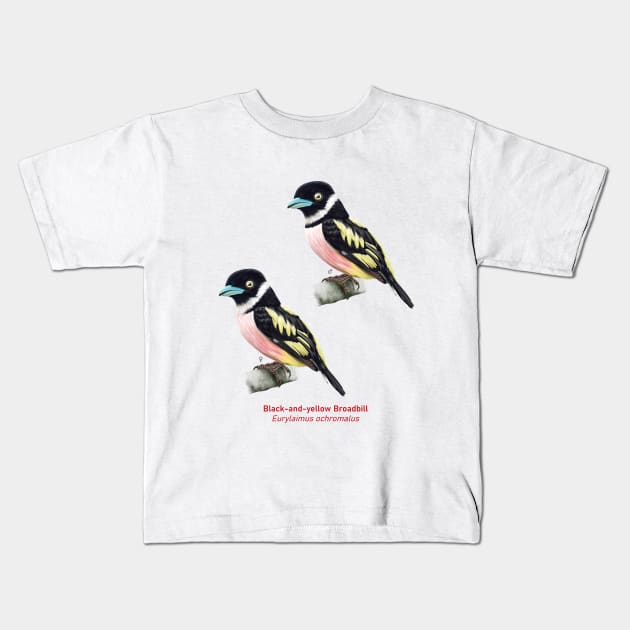 Black-and-yellow Broadbill | Eurylaimus ochromalus ⚥ Kids T-Shirt by bona 